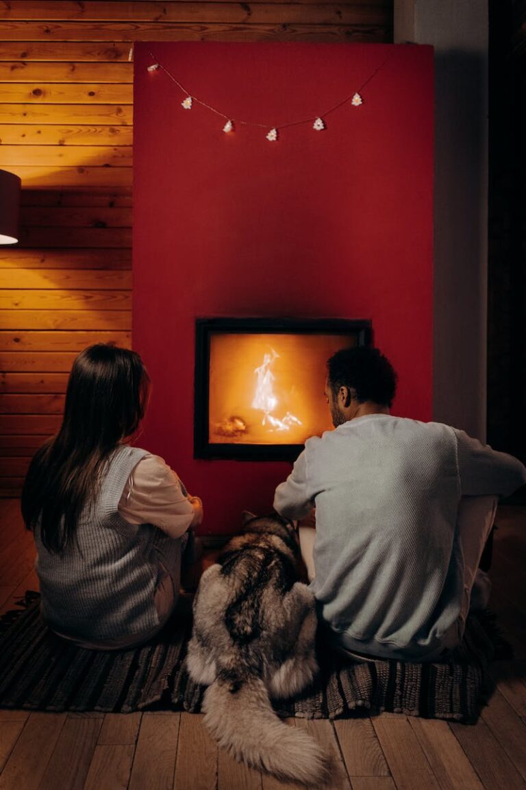 ogrzewanie-geotermalne-niewyczerpane-zrodlo-energii-prosto-spod-naszych-stopSitting Near Fireplace With Their Dog