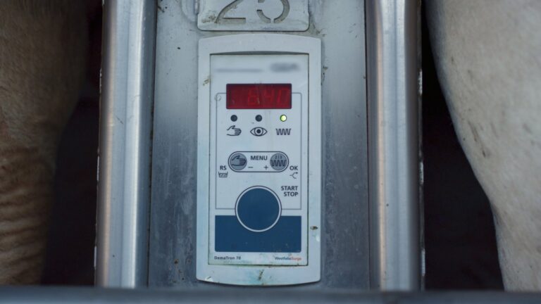 Problem z zakłóceniami w pracy falownika – identyfikacja i eliminacja