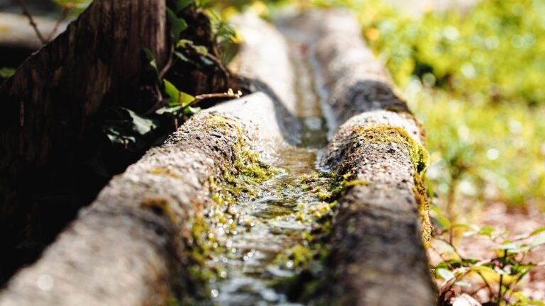 Problem z niedrożną rynną – jak przywrócić prawidłowe odprowadzanie wody