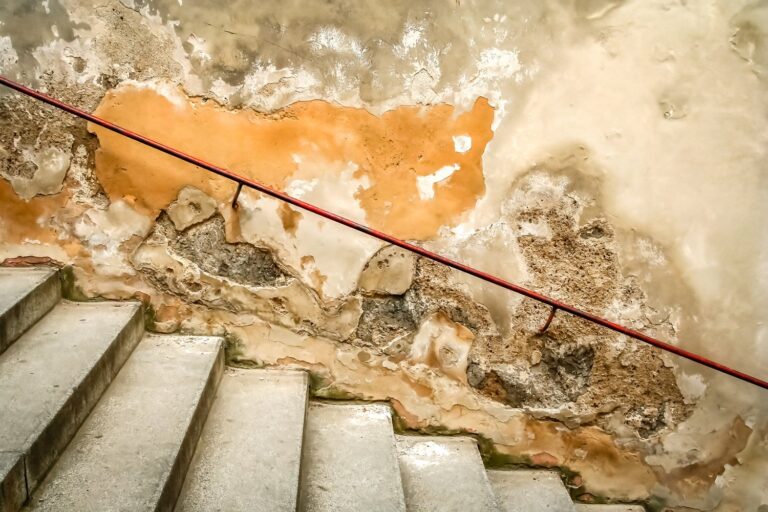 Problem z wilgocią w piwnicy – jak skutecznie osuszyć pomieszczenie