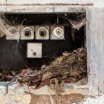 Problem z uszkodzoną obudową licznika energii elektrycznej – procedura zgłaszania i wymiany