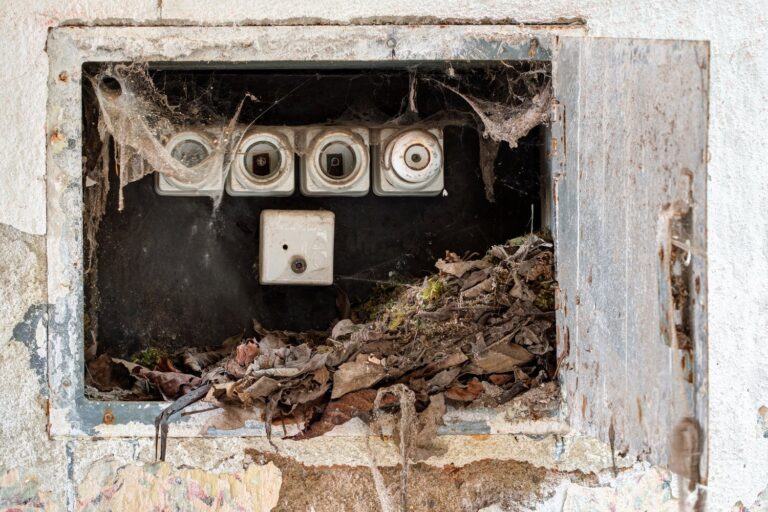 Problem z uszkodzoną obudową licznika energii elektrycznej – procedura zgłaszania i wymiany