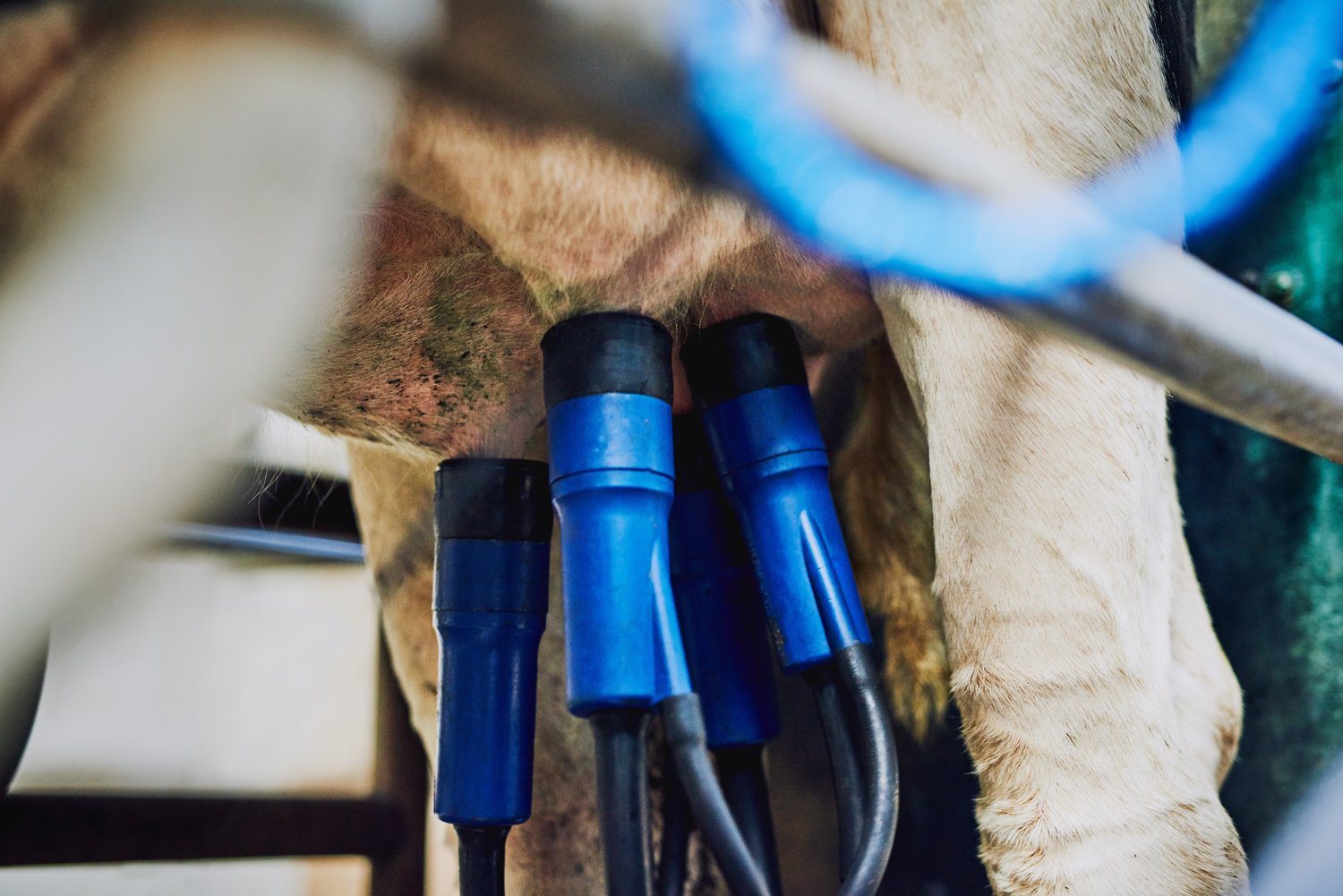 Jak profesjonalnie montować końcówki kablowe w instalacjach elektrycznych